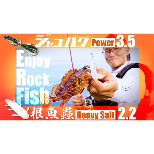 海太郎 根魚蟲 ヘビーソルト 2.2インチ